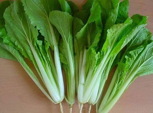 蔬菜品種:小白菜