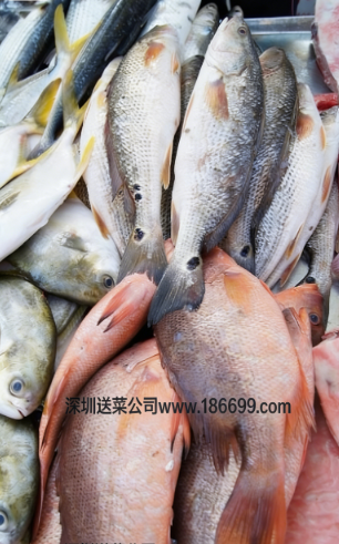 惠州農產品配送?中心與您分享：淡水魚和海魚的營養差別!
