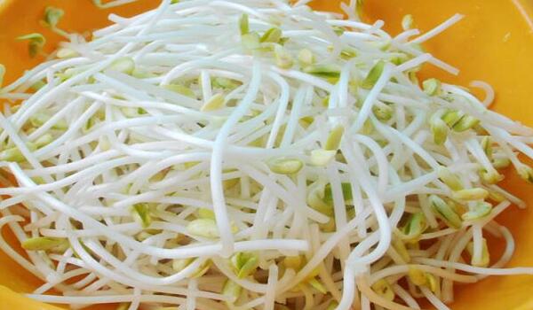 1760175120.jpg tupian_lvdouya2.jpg