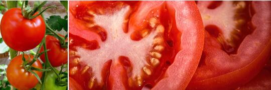 1760177698.jpg tupian_xihongshi2.jpg