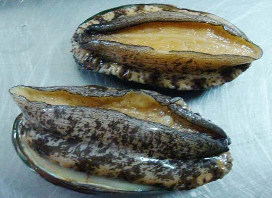 1760256826.jpg tupian_shengmeng.jpg