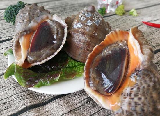 1760256837.jpg tupian_shengmeng1.jpg