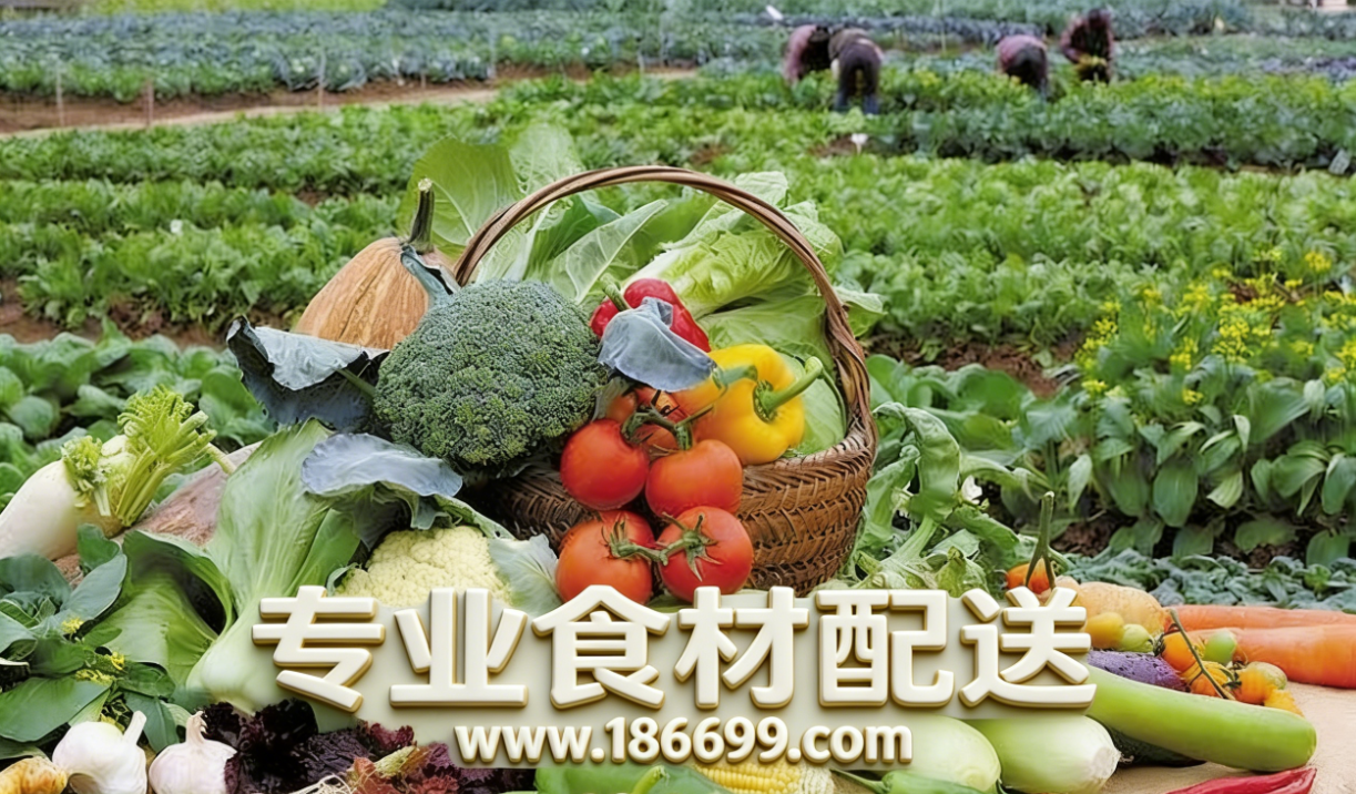 惠州食材供應(yīng)鏈為您普及：冬季夏季的蔬菜營養(yǎng)有什么差別？