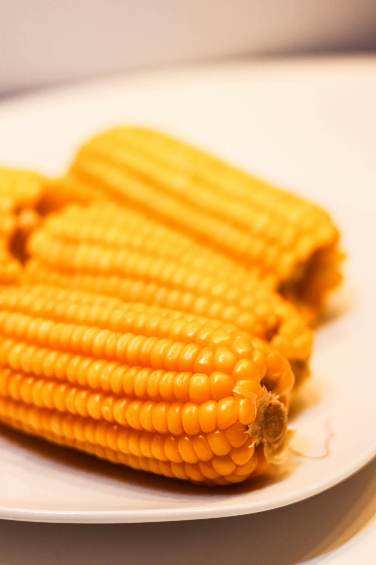為什么煮玉米時,甜玉米比糯玉米熟得快?惠州食材配送中心為您科普